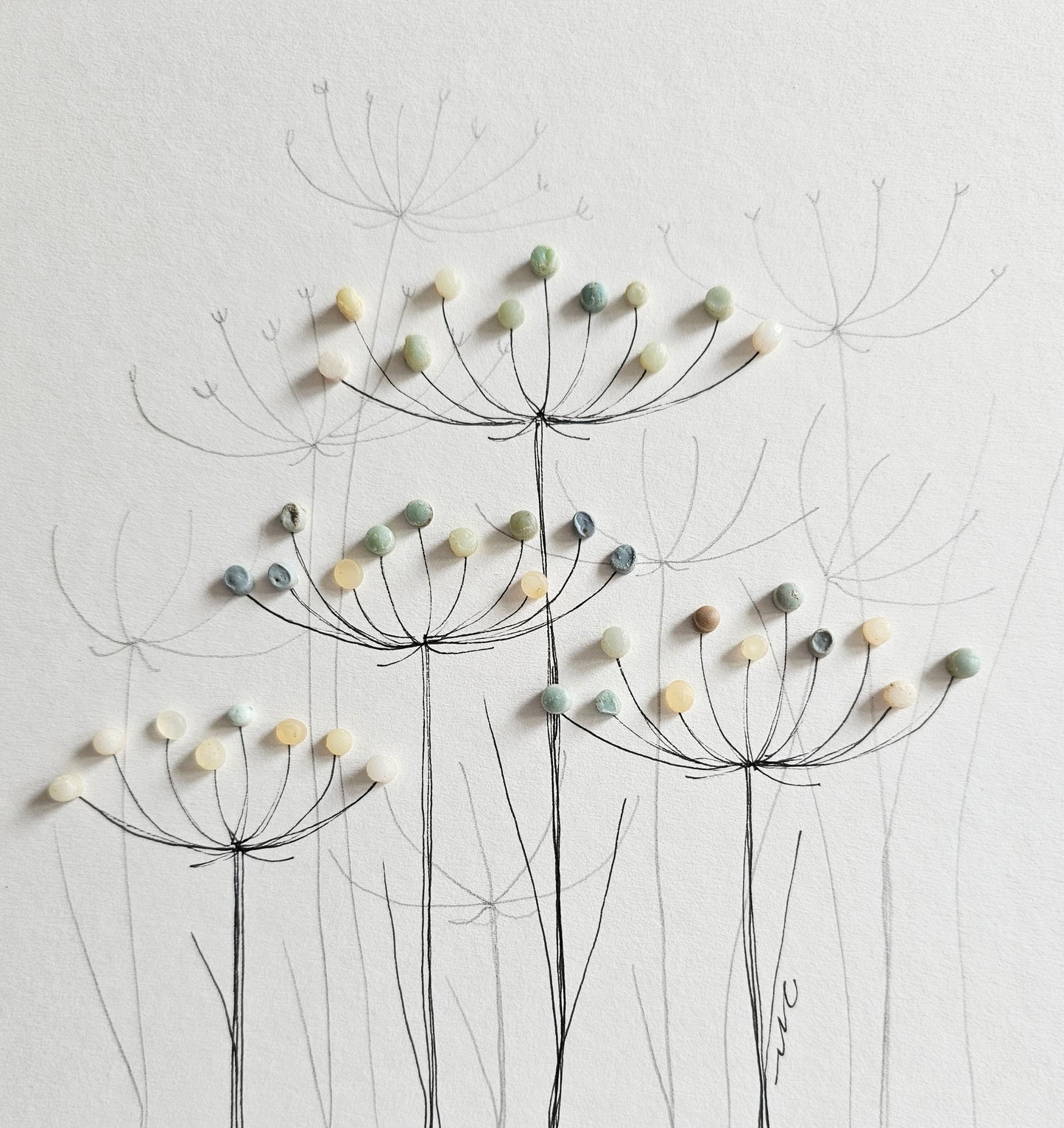 Nurdle Seed Heads