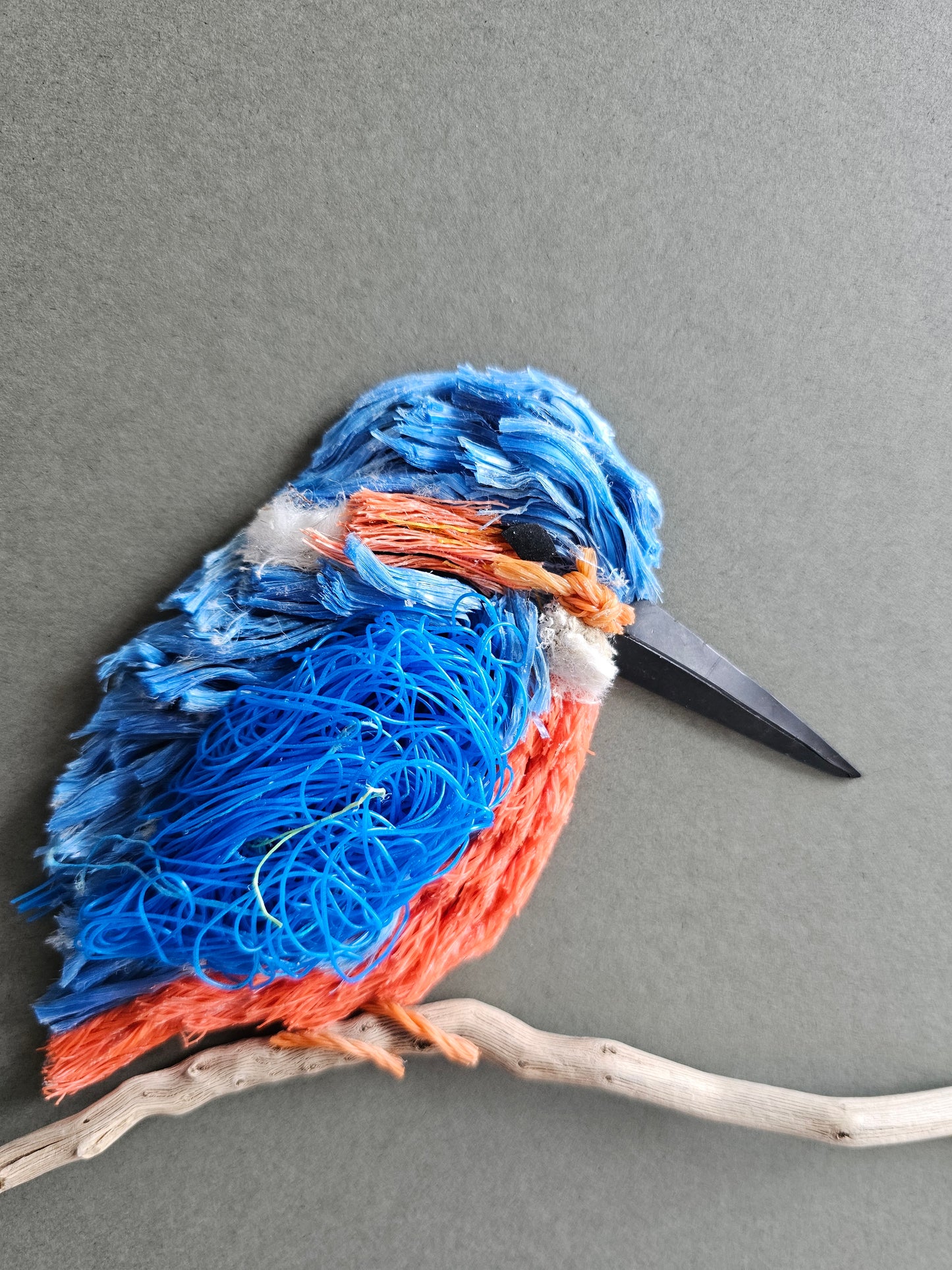 Kingfisher