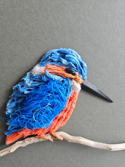 Kingfisher