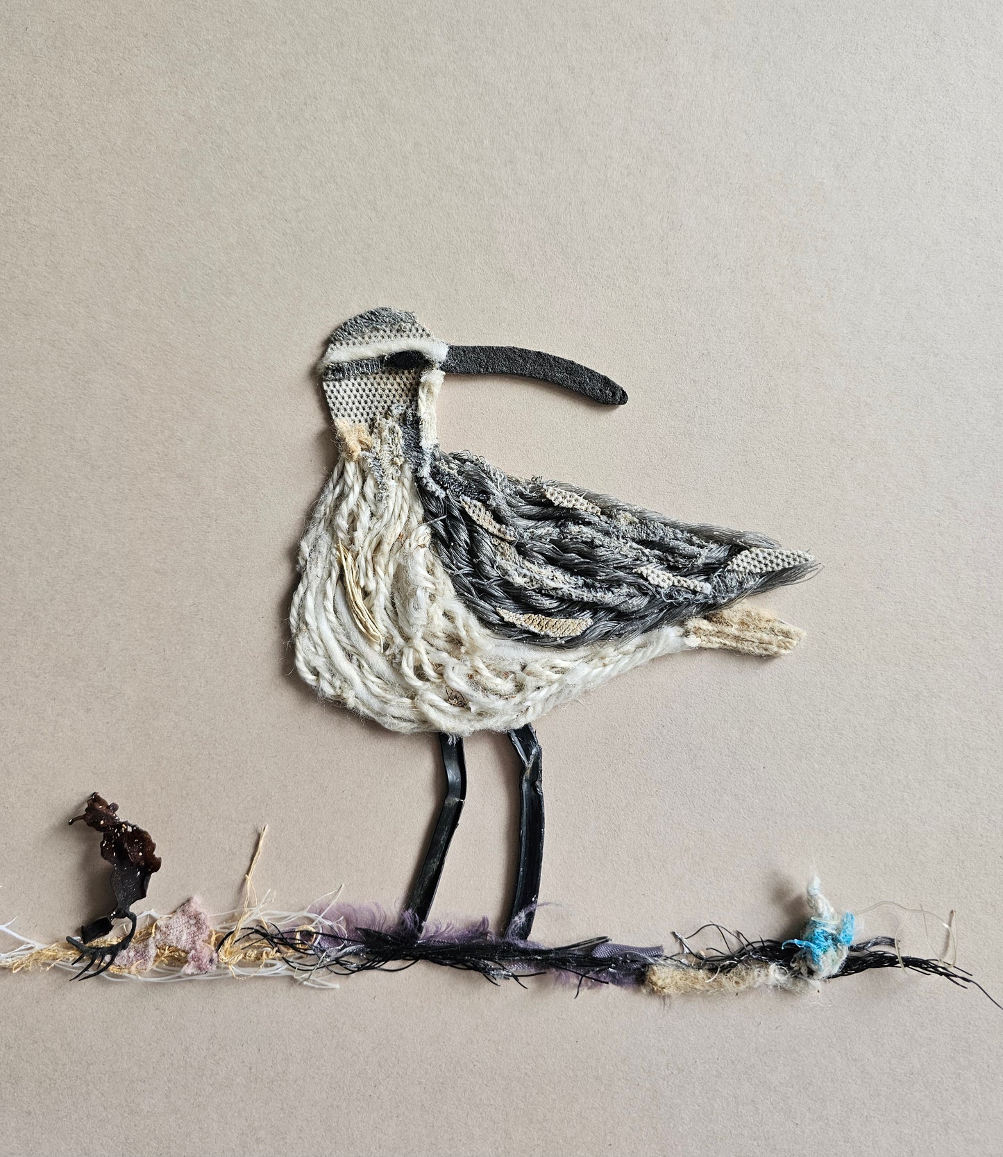 Whimbrel