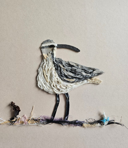 Whimbrel