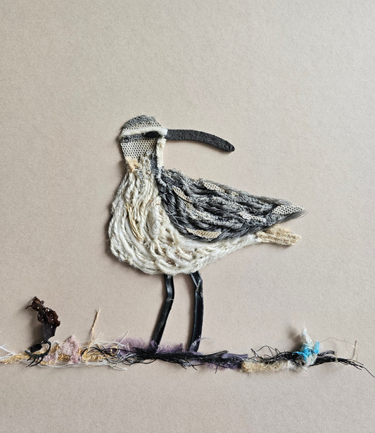 Whimbrel