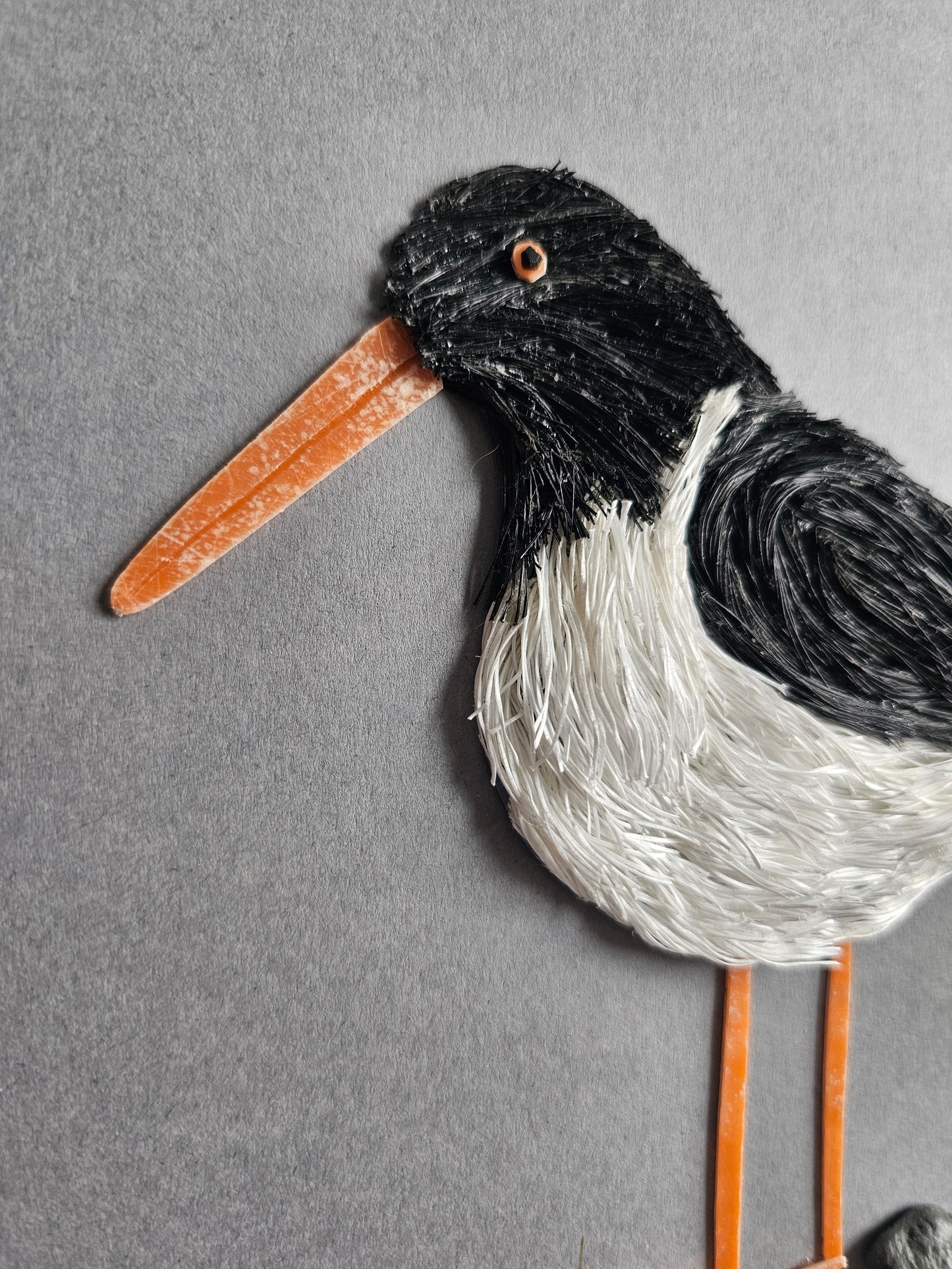 Oystercatcher