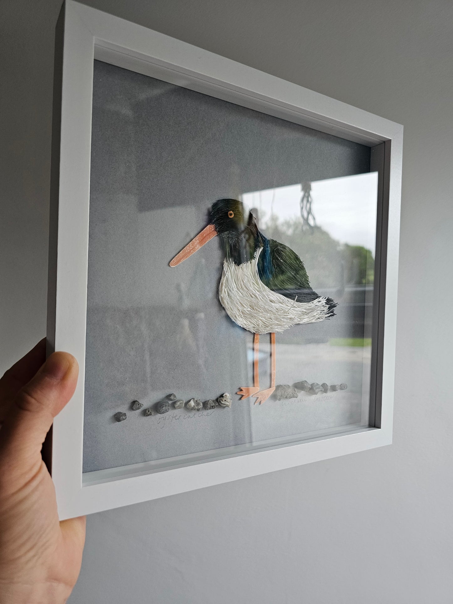 Oystercatcher