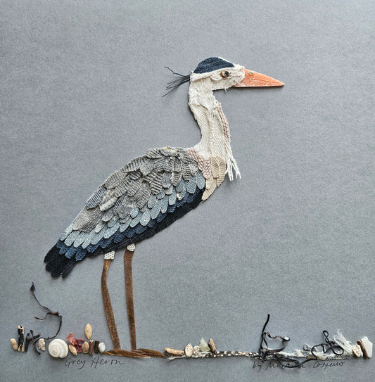 Grey heron