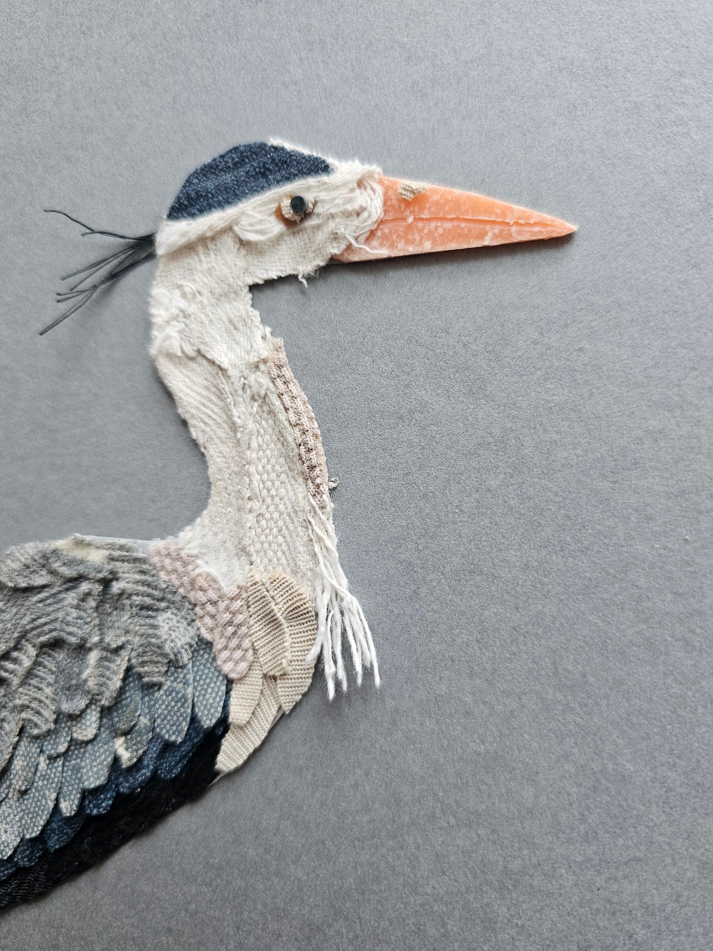 Grey heron