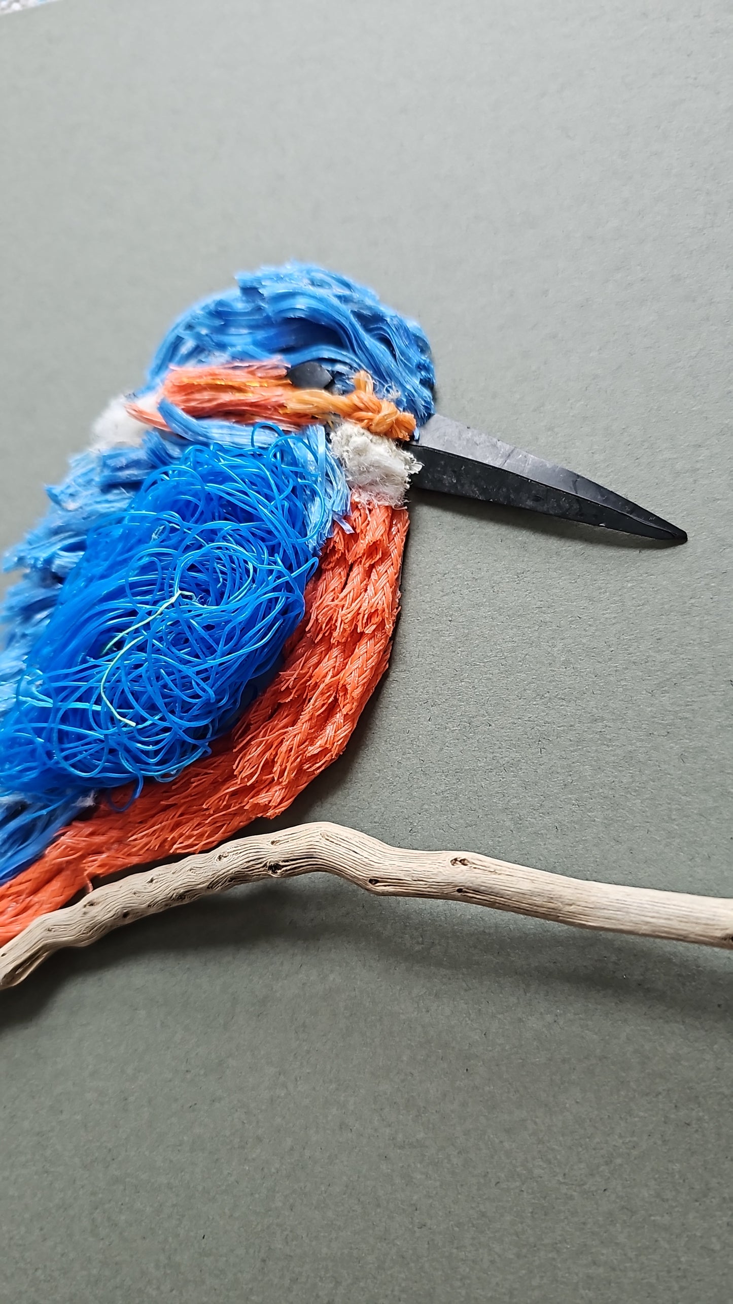 Kingfisher
