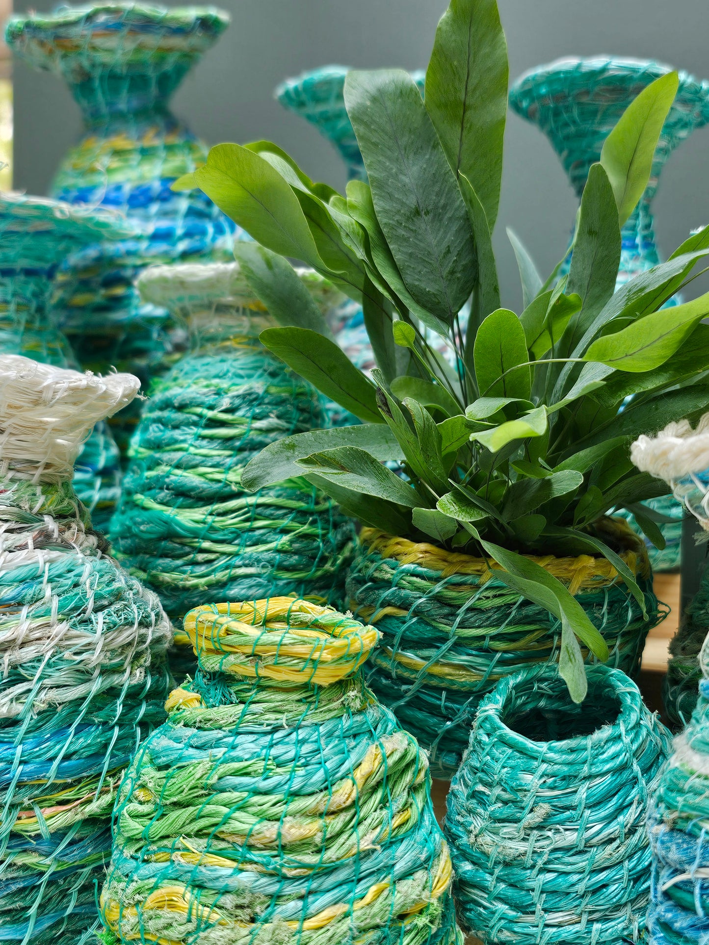 Neptune's Pots