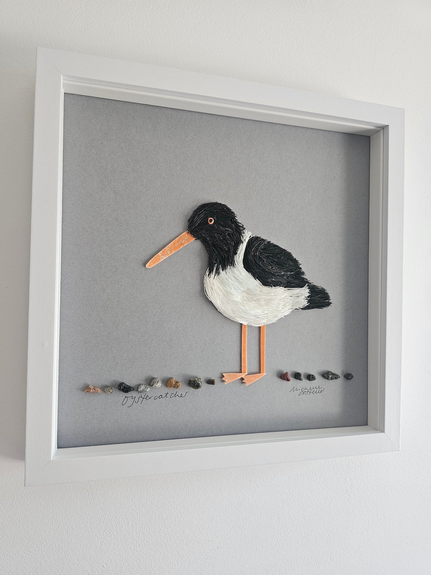 Oystercatcher
