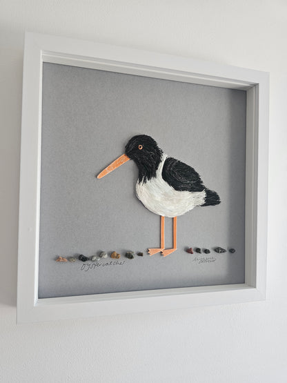 Oystercatcher
