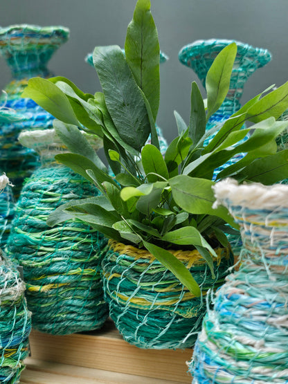 Neptune's Pots